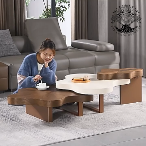 Bàn trà sofa bàn phòng khách bàn cafe đôi nhập khẩu gỗ vernier óc chó Irregular Cloud Coffe table