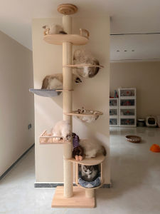 Large Size Solid Wood Cat Climbing Frame Villa Floor Space Saving Sky Column Top Sky Standing One Body Cat House Cat Tree