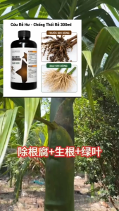 Dung Dịch Chống Thối Rễ Cây Cảnh 300ml - Phân Bón Phục Hồi Rễ Thối Cho Cây Cảnh Sen Đá Hoa Lan Kim Ngân Kim Tiền
