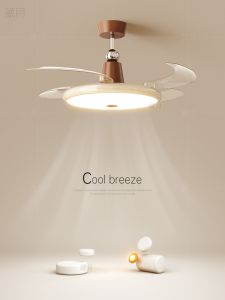 Hidden Creative LED Fan Light