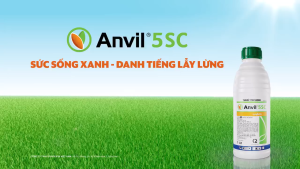 ( Syngenta ) ANVIL 5SC (1Lít) - THUỐC TRỪ BỆNH PHỔ RỘNG - Hàng Hiệu Chính Hãng