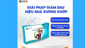Hou lou Dan viên uống tăng cường lưu thông khí huyết bcalivinghcm giảm tê bì chân tay đau mỏi xương khớp tốt