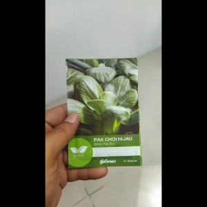 Benih Biji Bibit Green Pak Choi Mix Garden Seed - 400 Benih