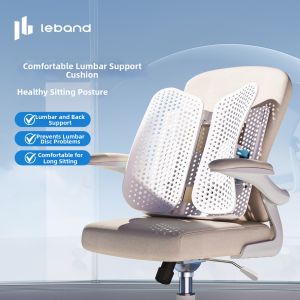 leband | Ergonomic Back Support Cushion