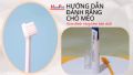 Orgo - Bàn chải răng và Kem đánh răng chó mèo thú cưng Giúp răng miệng thơm tho hết thối mồm. 