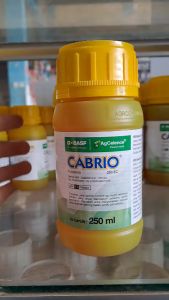 CABRIO 250 EC FUNGISIDA PENGENDALI PENYAKIT