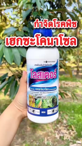โลสเตอร์ (เฮกซะโคนาโซล) สารป้องกันกำจัดโรคพืช กำจัดโรคได้กว้างขวาง ใบไหม้ ใบจุด แอนแทรคโนสในทุเรียน