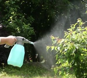 Bình tưới cây dùng pin sạc dung tích 2 lit có nhiều chế độ phun với đầu nối dài tiện dụng