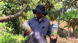 ปุ๋ยน้ำลาวา LAWA บรรจุ 1000 cc. 1 ขวด สูตรเน้นการเจริญเติบโตไว เร่งโตทุกส่วน ใช้กับพืชได้ทุกชนิด