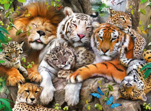 Big Cat Nap 500/1000/1200/2000PCS Jigsaw Puzzles Challenging Family Activity Games for Gameroom Bedroom Livingroom Party Gift