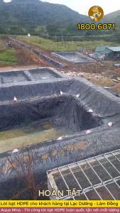 Bạt lót ao hồ 8m x 12m dày 0.3mm bảo hành 5 năm