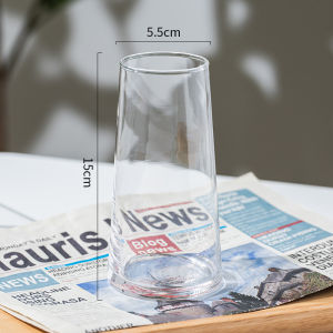 Nordic Minimalist Transparent Glass Vase for Fresh and Hydroponic Flowers
