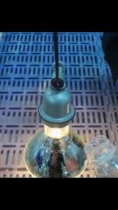 1PC 100W/150W/200W/250W/275W White Thickening Heat Lamp Waterproof Anti-Explosion Light Bulbs For Piglet Chicken Duck