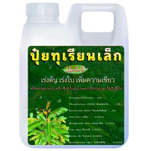 ปุ๋ยต้นทุเรียนเล็ก 1 ลิตร แตกยอดใหม่ เร่งใบเขียว🌳