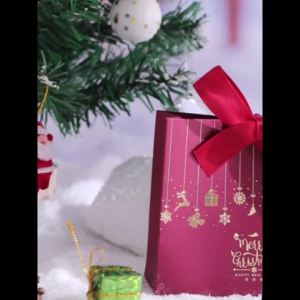 Bộ Quà Tặng Giáng Sinh 10 Món Với Họa Tiết Ông Già Noel Xe Trượt Tuyết & Tuần Lộc Kèm Túi Kẹo Lễ Hội Dùng Làm Quà Tặng Cho Tiệc Tùng