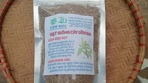 gói 100g hạt giống cây rau dền gai