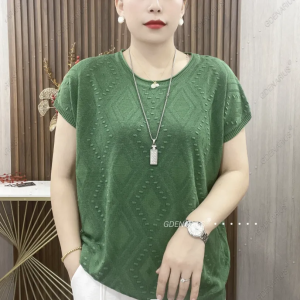High-End Round Neck Ice Silk Short Sleeve Knit T-Shirt for Women Summer New Style Loose Fit Belly Cover Casual Thin Top