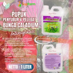 Pupuk Tanaman Hias Keladi / Pupuk Untuk Tanaman Keladi / Pupuk Penyubur Bunga Keladi / Pupuk Tanaman Keladi / Pupuk Bunga Keladi / Pupuk Bunga Dan Tanaman Hias