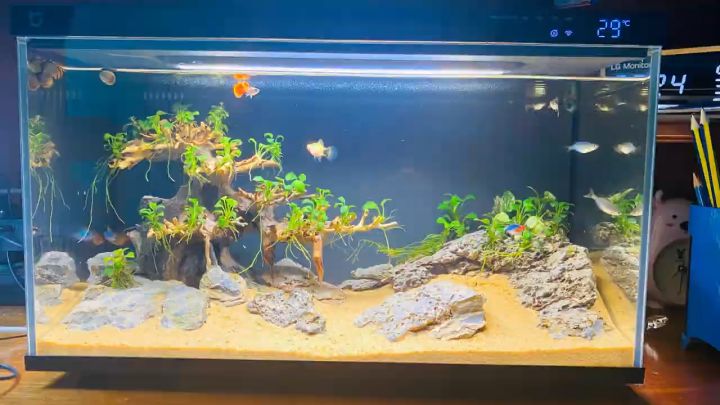 Bể cá thủy sinh thông minh Xiaomi Mijia Smart Fish Tank MYG100 20L kết nối app MiHome tích hợp bơm lọc nước
