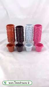 (แพค 4 ใบ) กระถาง ขอบหยัก ขนาด 3 นิ้ว กระถางต้นไม้ กระถางแคคตัส