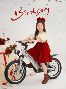 HONGQI | Magnesium Alloy Kids Bicycle 8-12 Years Old