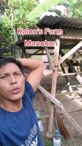 【Durable Free rope】50/200M Chicken Net Range Net For Chicken Lambat Outdoor Bird Net Poultry Ne