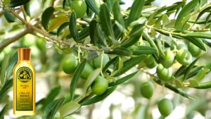 Orginal 150ML Natural Pure Olive Oil for Face Body Hair Moisturizing Skin Care Eessential Oil