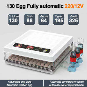 【Special price】Fully Automatic Egg Incubator 220V/12V Constant Temperature Incubator for chicken/egg
