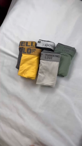 FHNC 5 pcs set Boxer for Men Fashion Boxer Briefs Underwear Breathable Soft Comfortable quick-drying cheap