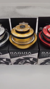 RAGUSA RGS-44-55 and BMX-60 HEADSET  SEALED BEARING TAPERED