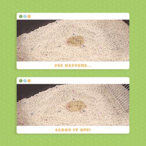 CATTITUDE Cat Litter Bentonite 10L Cat Fresh Apple Scent Fast-Absorbing