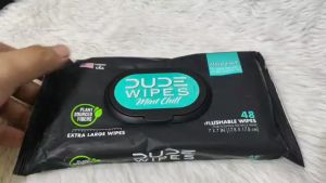 DUDE Wipes Mint Chill XL Flushable Wet Wipes for a Fresh Clean Feeling 48 Ct EXP:03/2026