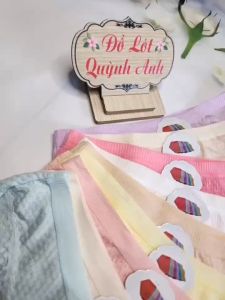Sét 10 Quần lót nữ thun cotton đuôi ren co giãn thoáng mát (0715) Size 45-55Kg - Đồ Lót Quỳnh Anh
