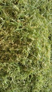 ( NGÂM 03/25) HOA ĐU ĐỦ ĐỰC NGÂM MẬT ONG NGUYÊN CHẤT NHÀ LÀM HỦ 1000ML