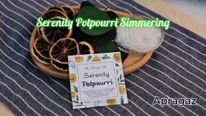 Potpourri Simmering Serenity Simmer Pot Potpourri Dried Lemon Slices Eucalyptus & Salt Stovetop Simmering Potpourri for Home Housewarming Gift