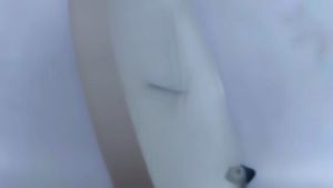 Jam Dinding Monza S259 Desain Polos Minimalis Aesthetic Modern Mesin Quartz Diameter Kamar 26cm