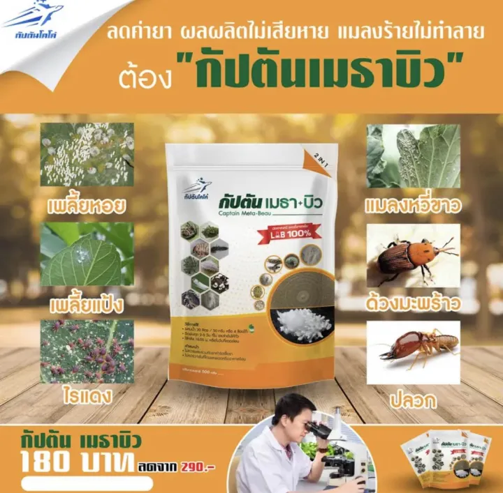 เชื้อราบิวเวอร์เรียและเมธาไรเซียม แบบผง 500 กรัม จาก LAB