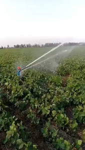 การชลประปาเกษตร รวมถึง หัวฉีด、ปืนฉีดอัตโนมัติหมุนสำหรับสวนและทุ่งหญ้า、เครื่องมือชลประปาแบบฉีดขนาดใหญ่แขนโยก และ ท่ออลูมิเนียมสำหรับชลประปา