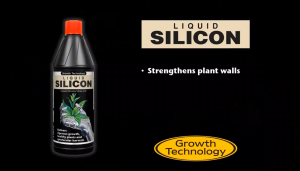 Growth Technology Liquid Silicon (Silicon Fertilizer Non-NPK Fertilizer Plant Immunity Booster Cell Wall Strengthener Greener Plant pH Up)
