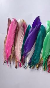 BULU ANGSA AYAM UNGGAS ASLI ISI 100 HELAI - BULU AYAM WARNA WARNI MJRAH - BULU ANGSA BEBEK ENTOG WARNA WARNI - BAHAN AKSESORIS KERAJINAN TANGAN DREAM CATCHER PENANGKAP MIMPI - HIASAN DINDING MURAH BISA COD BAYAR DITEMPAT