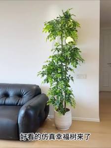 LIANYOU | Luxurious Faux Potted Plant for Indoor Use