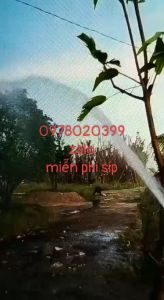 Máy bơm thuyền trên ao hồ tưới rau màu
