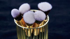 Professional 10 pcs Kabuki Brush Set SMALL SIZE