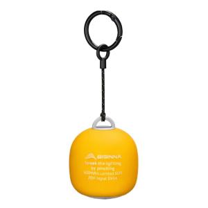 BSWOLF | Outdoor Portable Charging Camping Light