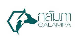 Kalampa ก้อนสมุนไพรแช่น้ำดื่ม สำหรับสัตว์เลี้ยง สุนัข แมว ช่วยให้สัตว์เลี้ยงกินน้ำมากขึ้น ช่วยปรับสมดุลย์ภายในร่างกาย ลดกลิ่นปากสุนัข