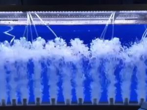 รับประกัน 6 เดือน - ปั้มลม BONETAR ปั๊มลมบ่อปลา HP-90/HP-180/HP-300 air pumps ปั๊มลมตู้ปลา บ่อปลา ตู้ปลา บ่อปลา ระบบฟาร์ม ปั้มลมแบบโรตารี่ เสียงเงียบ ทนทาน ปั๊มลมเสียงต่ำกำลังลมสูง