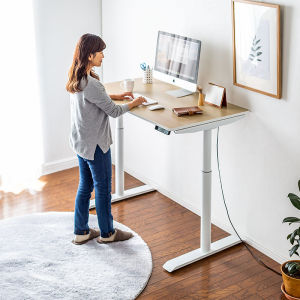 Sanwa Supply | Ergonomic Adjustable Height Desk Dual Motor