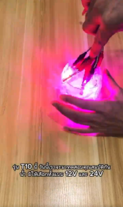 2 ชิ้นหลอดไฟซิลิโคน T10 LED 24 ดวง สำหรับรถยนต์ มอเตอร์ไซค์ รถบรรทุก ไฟจอดรถ ไฟอ่านหนังสือ ไฟป้ายทะเบียน ไฟแฟลช7สี