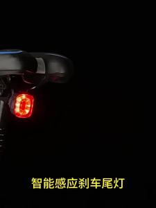 Đèn Hậu Xe Đạp Mini Nhỏ Gọn Sạc USB Chống Nước Đèn LED Kèm Dây Đeo Tháo Nhanh Đèn Cảnh Báo Phía Sau An Toàn Cho Xe Đạp