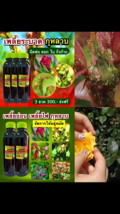 🔥ดื้อยาก็เอาอยู่! น้ำหมักสมุนไพรเข้มข้น ขนาด 300ml กำจัดเพลี้ย–หนอน–แมลง ครบจบในขวดเดียว